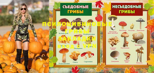 MDMA Premium VHQ Богородицк