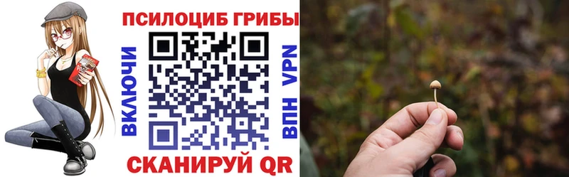 гидра сайт  наркота  Кораблино  Галлюциногенные грибы Psilocybe 